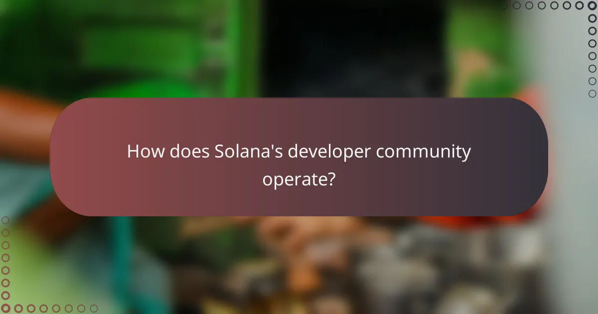 How does Solana's developer community operate?