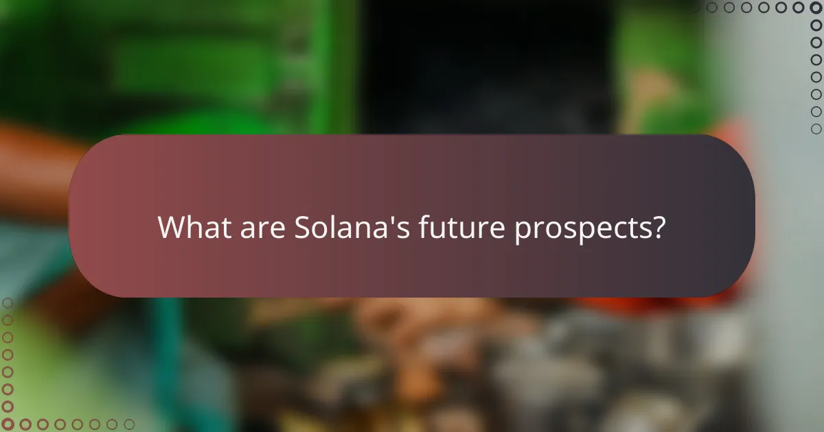 What are Solana's future prospects?