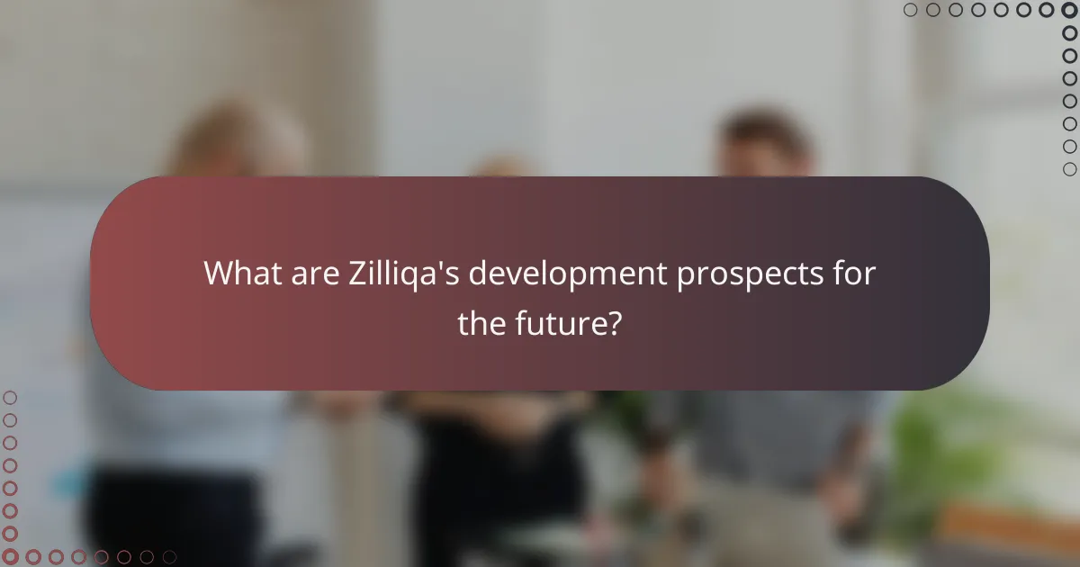 What are Zilliqa's development prospects for the future?