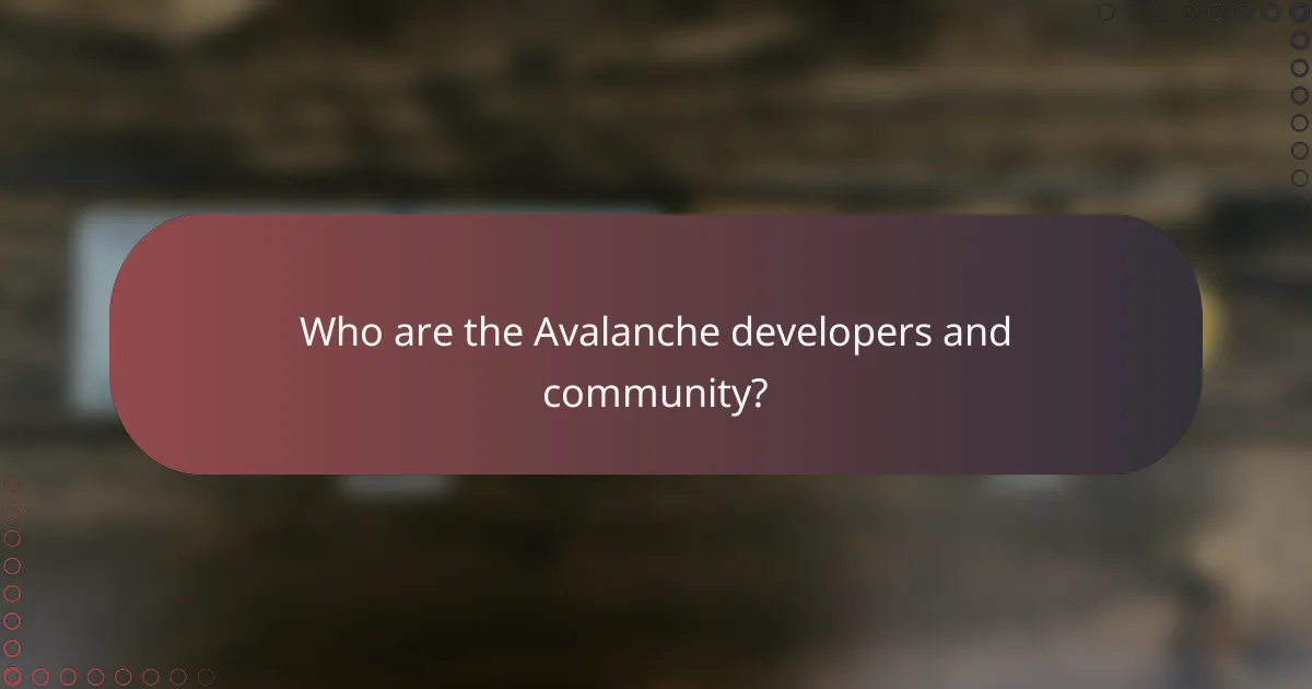 Who are the Avalanche developers and community?